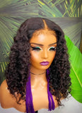 Taylor - (Burmese curly )