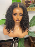 Taylor - (Burmese curly )