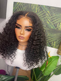 Taylor - (Burmese curly )